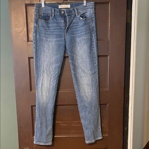 GAP Women's Real Straight Leg Low Rise Skinny Blue Jeans